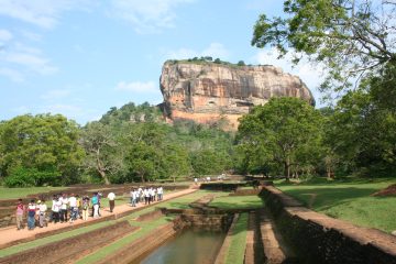טיולי טבע לילדים – איך להפוך את החוויה למשפחתית?